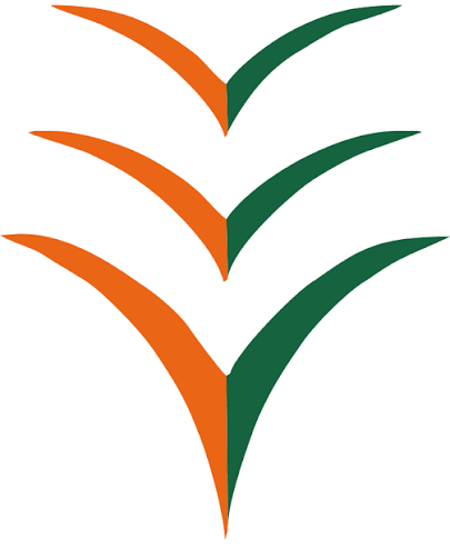 Ibom Air